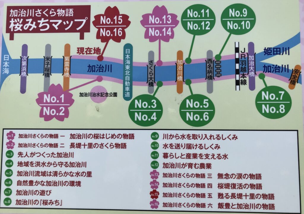 加治川さくら物語　桜みちマップ